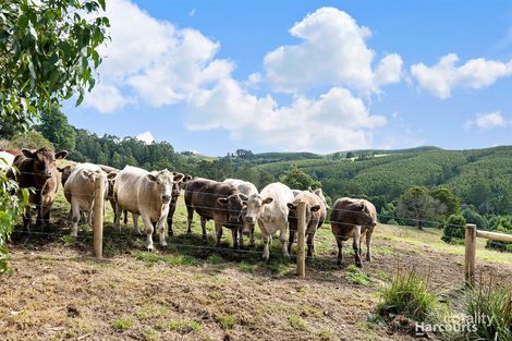 1755 Grand Ridge Rd, Trida, VIC 3953