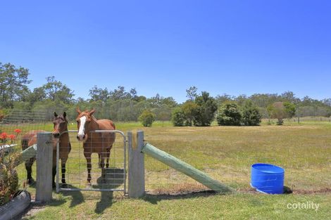 Property photo of 29 Fibrosa Court Dunmora QLD 4650