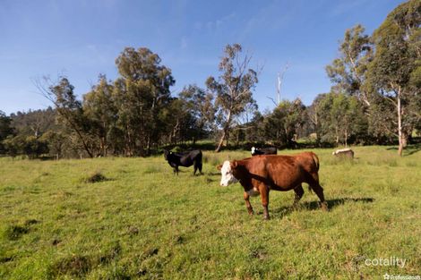 52 Maryton Lane, Marysville, VIC 3779