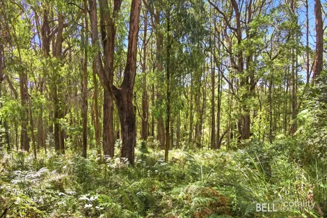 1195 Little Yarra Rd, Three Bridges, VIC 3797