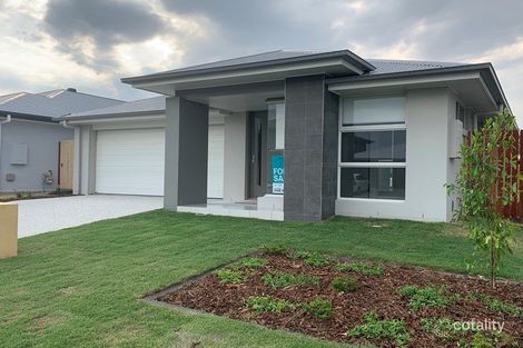 Property photo of 10 Butterleaf Crescent Pimpama QLD 4209