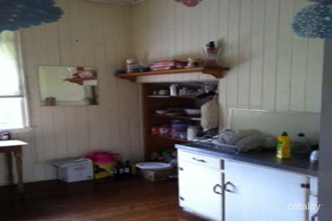 Property photo of 60 Hawthorn Terrace Red Hill QLD 4059