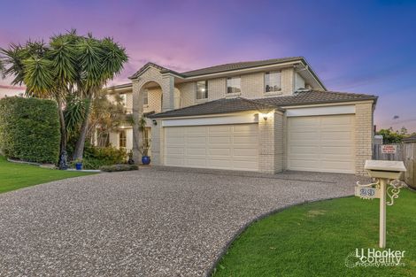 Property photo of 29 Avonlea Place Eight Mile Plains QLD 4113