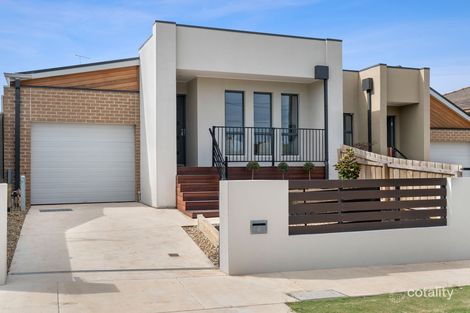 50b Balcombe Rd, Newtown, VIC 3220