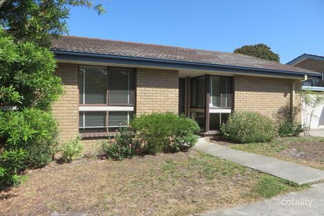 2/56 Edward St, Sandringham, VIC 3191