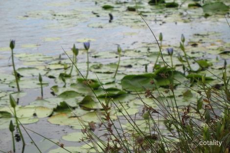 Property photo of 70 Bowerbird Close Greenbank QLD 4124