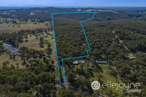 650 Sandy Creek Rd, Quorrobolong, NSW 2325