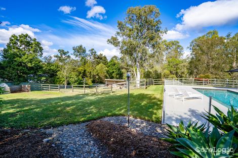 Property photo of 23 Imfeld Court Tallai QLD 4213