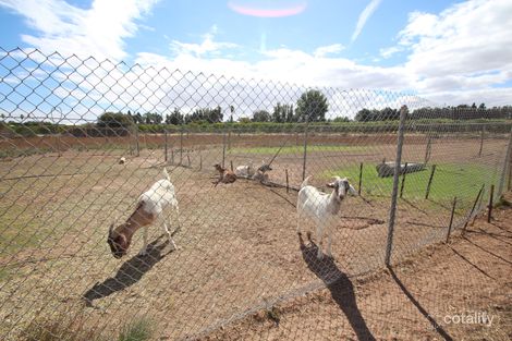 94 Kulkyne St, Renmark West, SA 5341