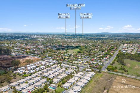 Property photo of 81/51 River Road Bundamba QLD 4304