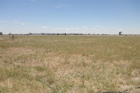 170 Villeneuve Dr, Narromine, NSW 2821