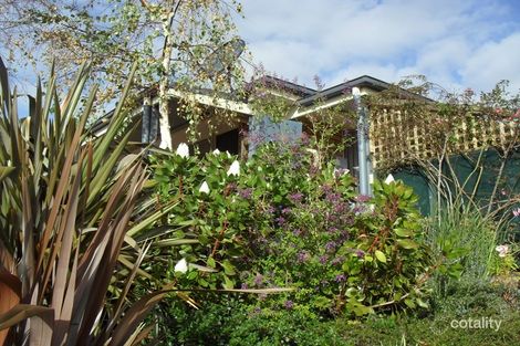 Property photo of 15 Douglas Court St Helens TAS 7216