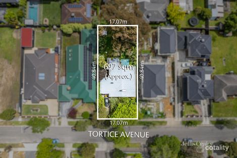 14 Tortice Ave, Nunawading, VIC 3131