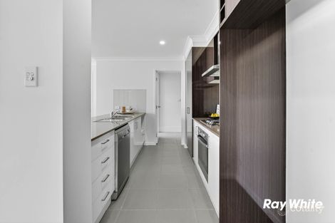 Property photo of 24 Serene Crescent Springfield Lakes QLD 4300