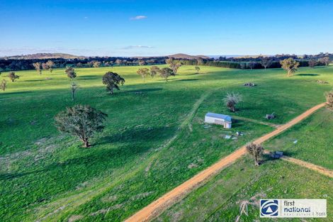 1205 Cooks Hill Rd, Bango, NSW 2582