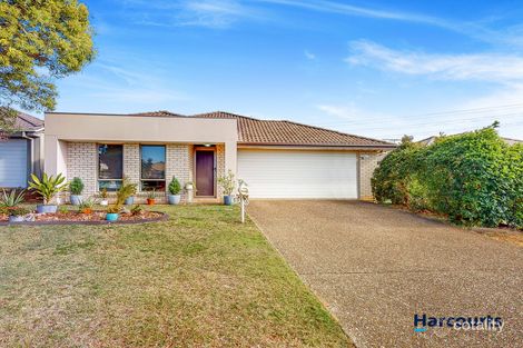 53 Clove St, Griffin, QLD 4503