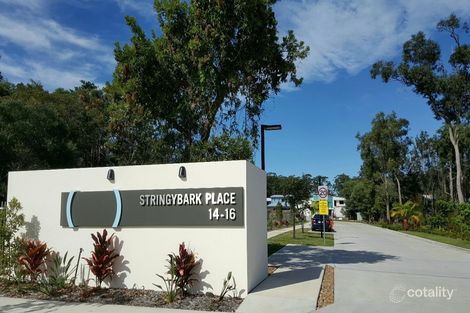 93/16 Toral Dr, Buderim, QLD 4556