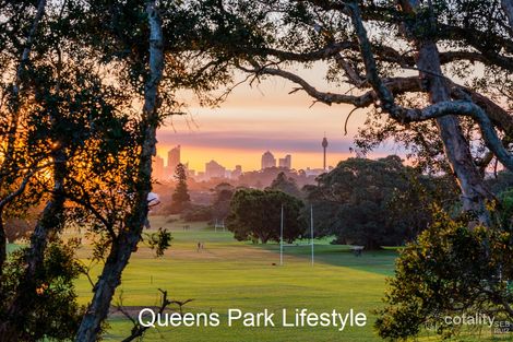 Property photo of 3/6 Pine Street Randwick NSW 2031