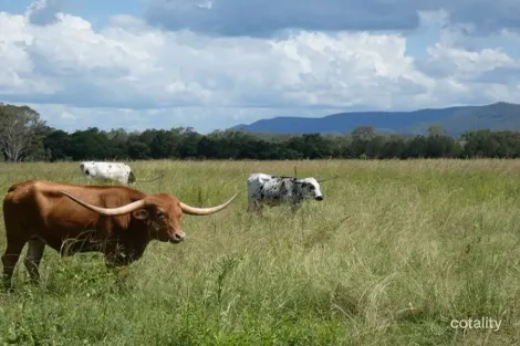 Property photo of 1097 Blackman Gap Road Colosseum QLD 4677