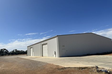 Property photo of 9A Modica Crescent Buronga NSW 2739