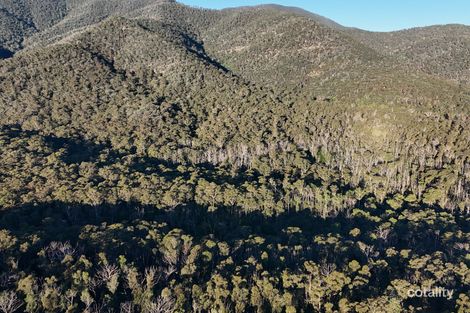 Property photo of 650 Yankees Gap Road Bemboka NSW 2550