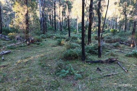 Property photo of 650 Yankees Gap Road Bemboka NSW 2550