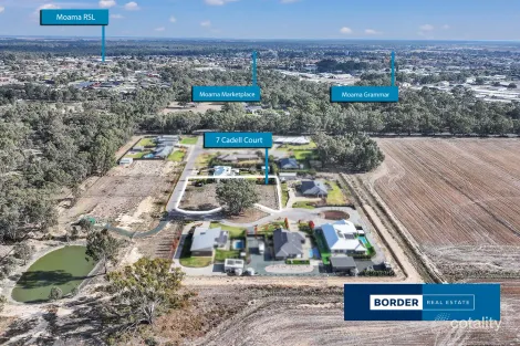 7 Cadell St, Moama, NSW 2731