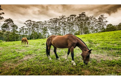 335 Kalang Rd, Kalang, NSW 2454