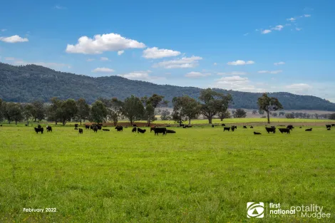 7458 Bylong Valley Way, Bylong, NSW 2849