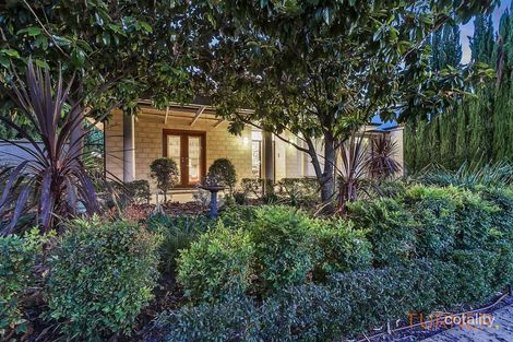 Property photo of 5 Godden Street Hawthorn SA 5062