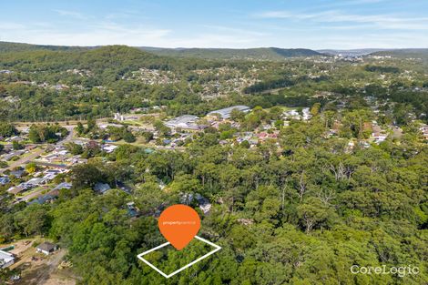 Property photo of 21 Hamilton Close Niagara Park NSW 2250