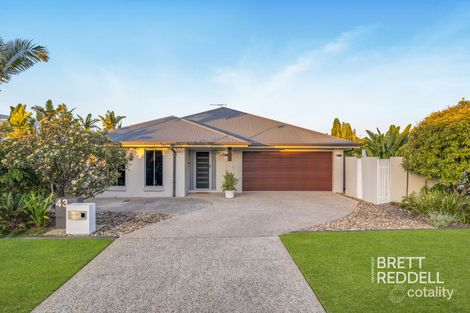 Property photo of 43 Daylesford Circuit Ormeau QLD 4208