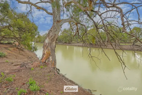 3 Low Darling, Wentworth, NSW 2648