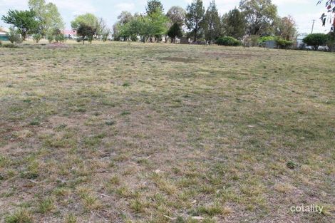 Property photo of 8 Bourke Street Deepwater NSW 2371