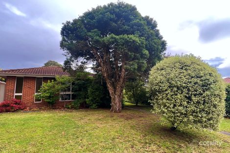 6/16 Suffolk Rd, Surrey Hills, VIC 3127