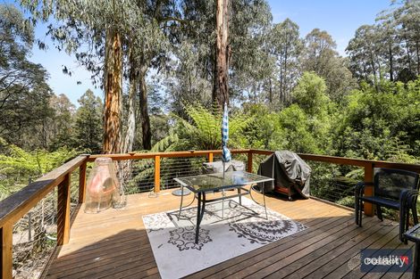 Property photo of 13 Scottys Track Tanjil Bren VIC 3833