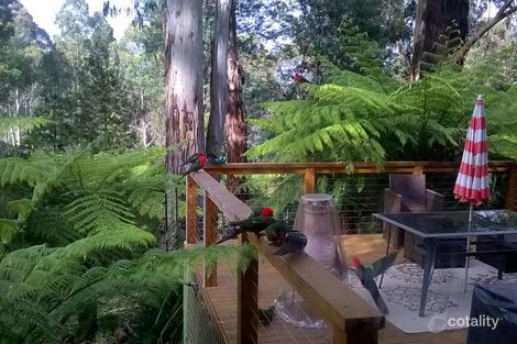 Property photo of 13 Scottys Track Tanjil Bren VIC 3833