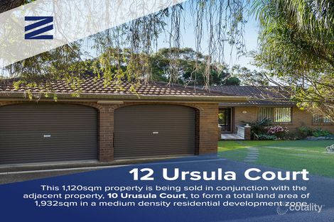 Property photo of 12 Ursula Court Springwood QLD 4127