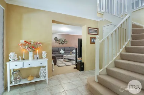 Property photo of 7 Daniel Crescent Lemon Tree Passage NSW 2319