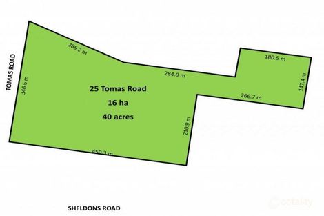 Tomas Rd, Myers Flat, VIC 3556