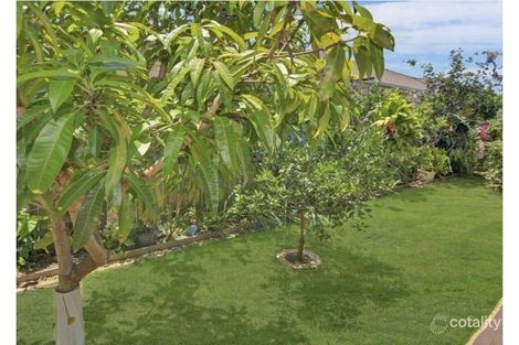 Property photo of 29 Riverstone Place Bli Bli QLD 4560