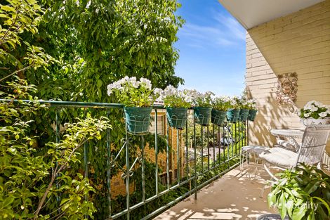 Property photo of 4/24 Mathoura Road Toorak VIC 3142