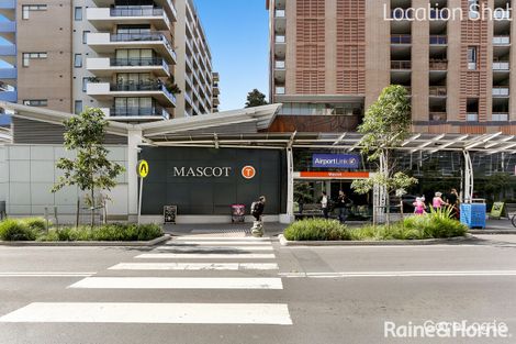 Property photo of 31 Carinya Avenue Mascot NSW 2020