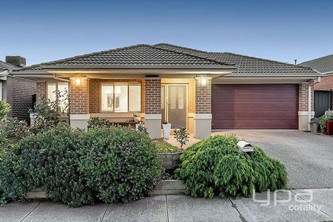 Property photo of 147 Newbury Boulevard Craigieburn VIC 3064