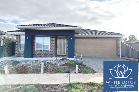43 Ambervue Dr, Cobblebank, VIC 3338