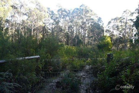 335 Smiths Gully Rd, Pipers River, TAS 7252