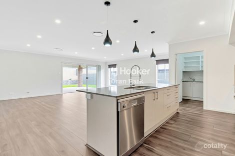 Property photo of 61 Olive Hill Drive Cobbitty NSW 2570