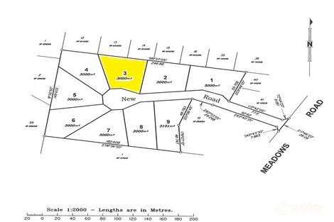 Property photo of 8 Bottle Tree Court Withcott QLD 4352