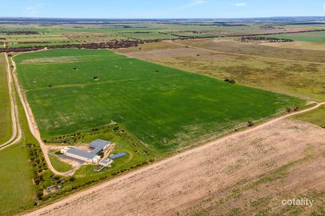 Property photo of 539 Bowhill Road Burdett SA 5253