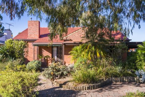 66 Arthur St, Plympton Park, SA 5038